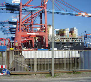 Hamburg - Auge in Auge mit den Giganten