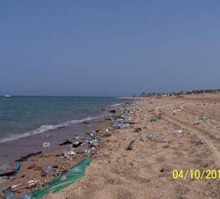 Die ungeschminkte Wahrheit