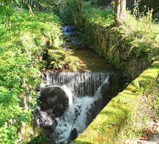 Natur pur