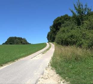 Ruine Hohengenkingen - Genkingen