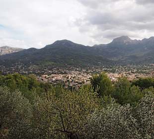 Blick auf Sóller
