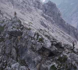 Mindelheimer Klettersteig