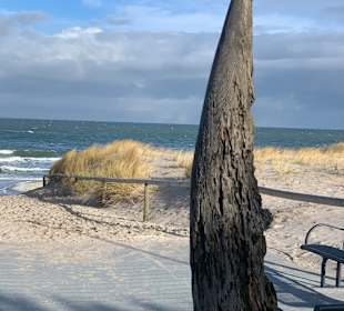 Strand Zingst