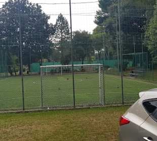 Fußballfeld 1