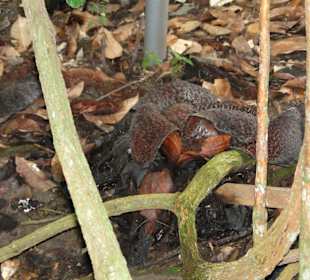 Ausflug Wildfife Expeditions