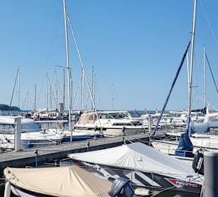 Marina Marina