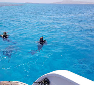 Tauchausflug