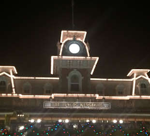 Disney , Orlando in Night