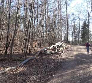 Naturerlebnispfad Meidelstetten