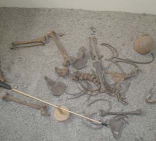 Pfahlbautenmuseum