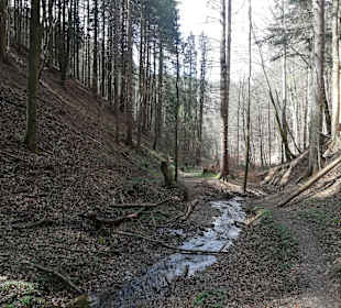 Wandern Bad Schönau
