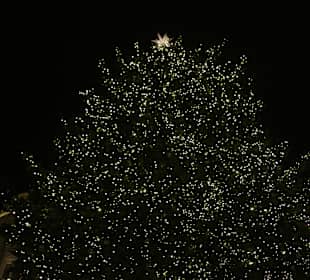 Targi Bożonarodzeniowe