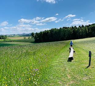 Wandern Niederwaldkirchen