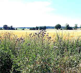 Wanderung Halbinsel Gnitz