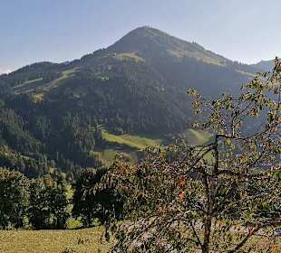 Wandern Söll