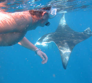 Schnorchelausflug vor Kuredu