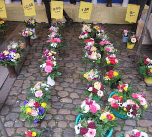 Altstadt Freiburg Markt am Münster