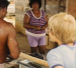 Eine Wasserschildkrote im Becken