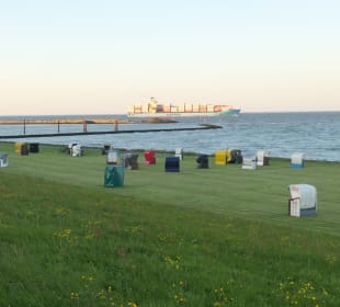 Der Grünstrand in der Bucht von Grimmershörn