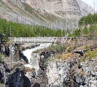 ...am Ende des trails eine Brücke