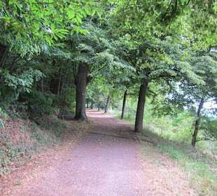 Auf dem Weg zur Walddusche