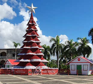Weihnachten Santo Domingo
