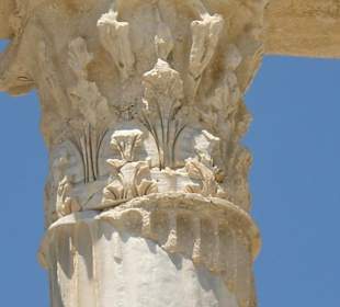 Apollo Tempel - Dateilansicht einer Säule