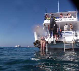 Alex auf dem Weg ins Wasser