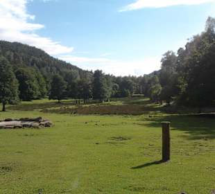Idyllisch das Tal der Hirsche