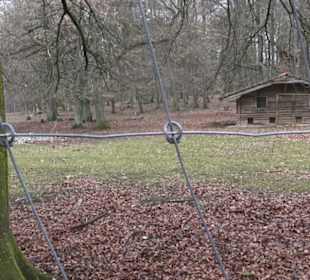 Wildpark Eichert