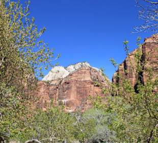 Zion Nationalpark