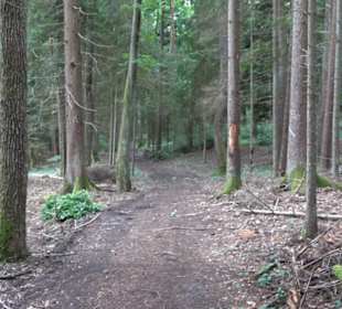 Wanderweg - Alter Steinbruch Pfaffenberg Runde