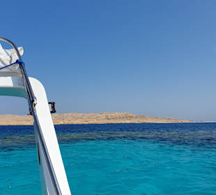 Delfin Tour Hurghada