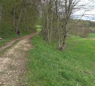 Premiumwanderweg Hochgebürzelt