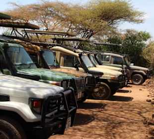 Safari Jeeps