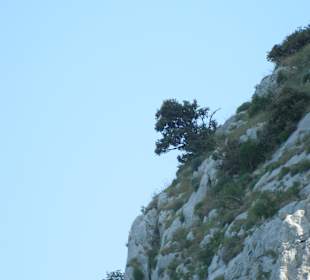 Biokovo