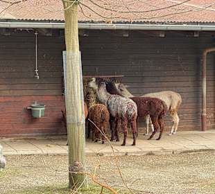 Tiergarten Straubing