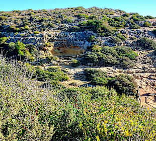 Seven Hanging Valleys Trail 