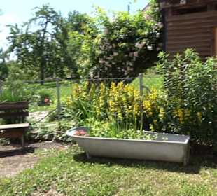 Mittelalterliches Fachwerk