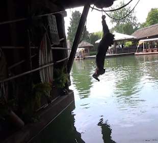 Themenbereich Abenteuerland