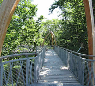 Baumkronenweg Edersee