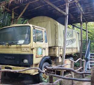 Schüttellaster für1€ 