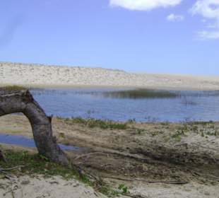 Buggy tour lagoa de paraiso