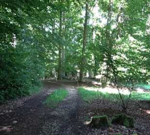 Naturerlebnispfad Sternberg