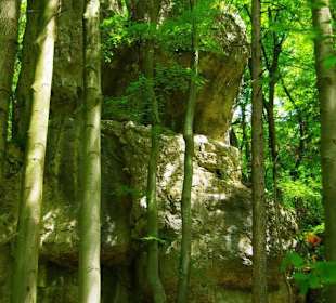 Wanderung zum Bärenfels
