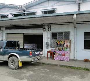 Wildlife Expeditions