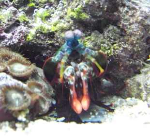 Tropenaquarium Hagenbeck