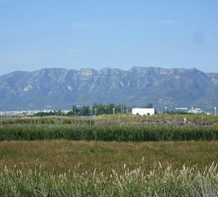 Blick zurück in die Berge