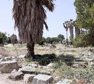 Auf Stadtrundgang durch Kos