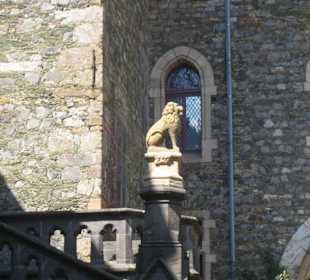 Ein Löwe in den Sonnenstrahlen.